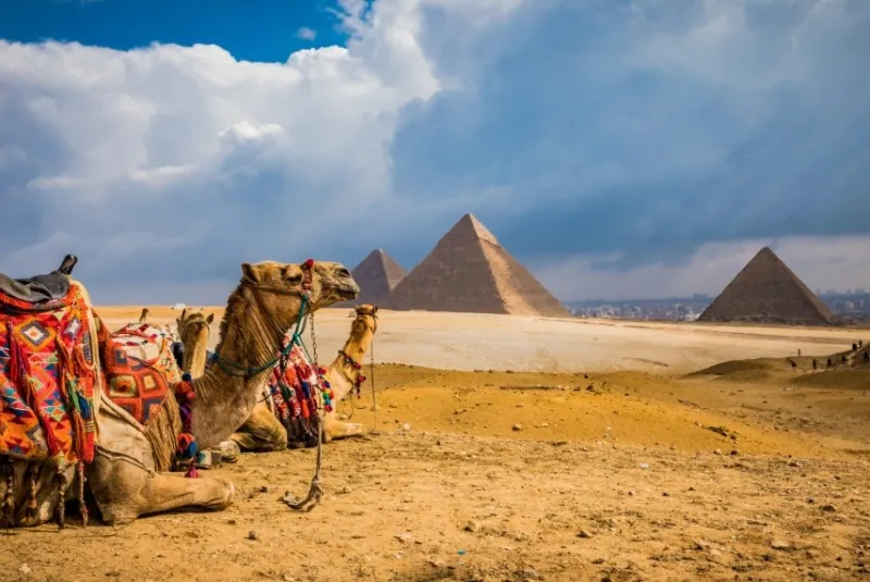 Egypt (Single Entry) WD
